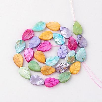Natural Freshwater Shell Beads, Dyed, Leaf