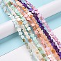 Natural Freshwater Shell Beads Strands, Dyed, Flower