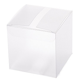 Пластиковая коробка из пвх, матовые, квадратный, белые