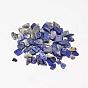 Lapis naturelles perles de puce lazuli, pas de trous / non percés, 3~9x1~4mm