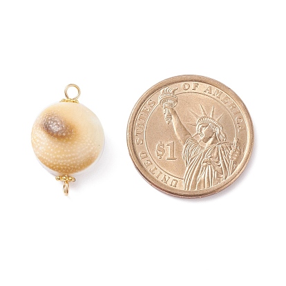 Connecteurs de perles de coquille de trompette naturelle, avec 304 apprêts en acier inoxydable et perles d'espacement en forme de marguerite en alliage, plat rond