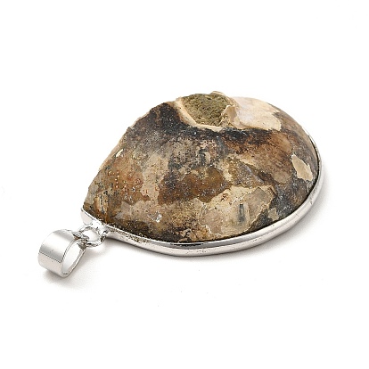Snail Fossil Pendants, with Brass Pendant Settings, Platinum, 35~50x25~35x8mm, Hole: 4x6mm