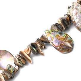 Natural Paua Shell Beads Strands, Chip & Teardrop