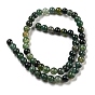 Natural Moss Agate Round Beads Strands