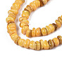 Natural Trochid Shell/Trochus Shell Beads Strands, Dyed, Flat Round