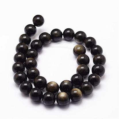 Brillance dorée naturelle perles obsidienne brins, ronde