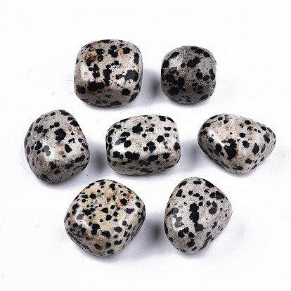 Natural Dalmatian Jasper Beads, Healing Stones, for Energy Balancing Meditation Therapy, Tumbled Stone, Vase Filler Gems, No Hole/Undrilled, Nuggets