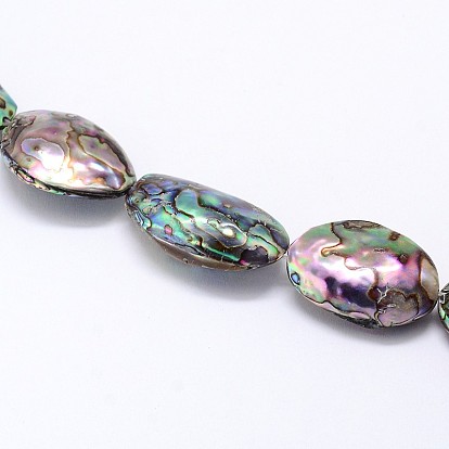 Natural Paua Shell Beads Strands, Oval
