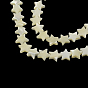 Hebras de cuentas de concha de mar natural en forma de estrella