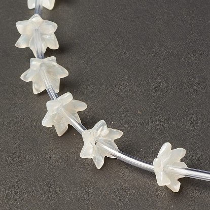 Tapas de cuentas de concha blanca natural, 6-pétalo, flor