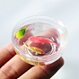 Réservoir de poissons koi, ornements miniatures en plastique pp, accessoires de maison de poupée de jardin paysager micro, faire semblant de décorations d'accessoires