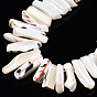 Natural Trochid Shell/Trochus Shell Beads Strands, Dyed, Nugget Stick