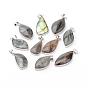 Natural Larvikite Pendants, with Brass Findings, Mixed Shape, Platinum, 28~55x13~35x4~11mm, Hole: 4x6mm