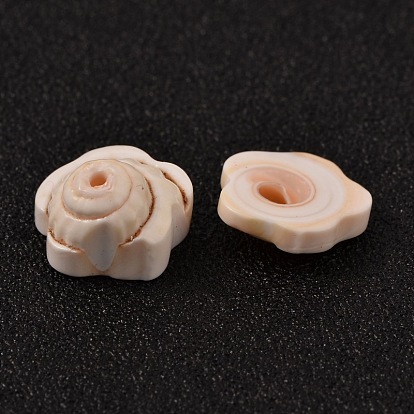 Flower Natural Shiva Eye Shell Beads, 12x5mm, Hole: 1mm