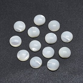 Shell Cabochons, Flat Round