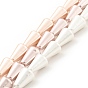 Electroplated Shell Pearl Beads Strands, Polished, Cone