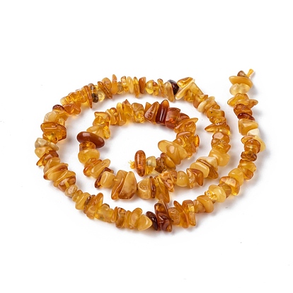 Natural Amber Chip Beads Strands, 5~14x4~10mm, Hole: 1mm, about 15.5 inch ~16.1 inch