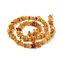 Natural Amber Chip Beads Strands, 5~14x4~10mm, Hole: 1mm, about 15.5 inch ~16.1 inch