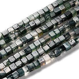 Natural Moss Agate Beads Strands, Cube