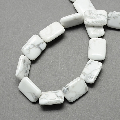 Rectangle Shaped Gemstone Natural Howlite Stone Beads Strands, 18x13x6mm, Hole: 1mm, about 22pcs/strand, 15.7 inch