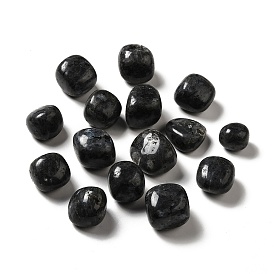 Natural Larvikite Beads, Tumbled Stone, Healing Stones, for Reiki Healing Crystals Chakra Balancing, Vase Filler Gems, No Hole/Undrilled, Nuggets