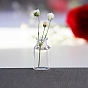 Botellas de jarrón de vidrio en miniatura transparentes, accesorios de casa de muñecas micro jardín paisajístico, accesorios de fotografía decoraciones