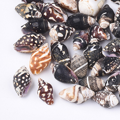 Spiral Shell Beads, Undrilled/No Hole Beads