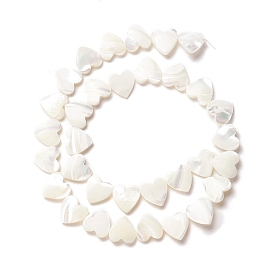 Coquille de trochide naturelle / perles de coquille de troque, coeur de pêche
