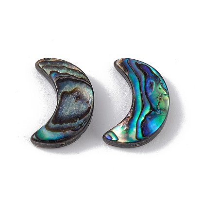 Natural Abalone Shell/Paua Shell Beads, Moon