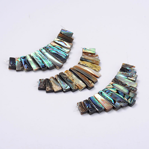 Rectangle Natural Abalone Shell/Paua ShellGraduated Beads Strands, 29x70x3mm, Hole: 1mm, 13pcs/strand