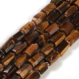 Natural Tiger Eye Beads Strands, with Seed Beads, Faceted, Column