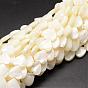 Natural Trochid Shell/Trochus Shell Beads Strands, Heart, 12x12x4mm, Hole: 1mm, about 35pcs/strand, 15.75 inch