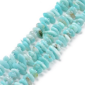 Chapelets de perles amazonite naturelles  , puce