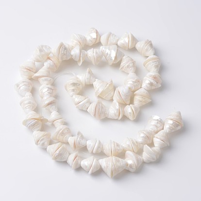 Hebras de perlas shell naturales, turritella, 10~15x13x18 mm, agujero: 1 mm, sobre 52 unidades / cadena, 15.7 pulgada