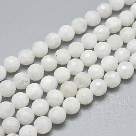 Natural Rainbow Moonstone Beads Strands, Faceted, Round