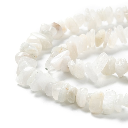 Natural Rainbow Moonstone Beads Strands, Chip