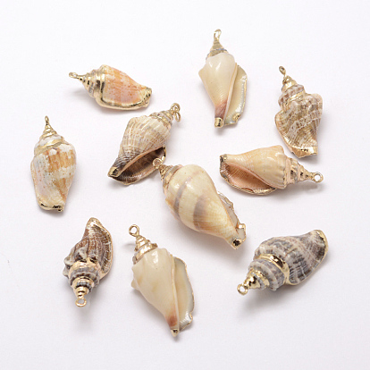 Golden Electroplated Conch Shell Pendants, 26~52x13~23x15~17mm, Hole: 2mm