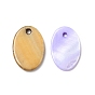 Natural Freshwater Shell Charms, Dyed, Flat Oval