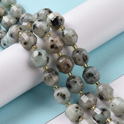 Naturelles sésame jaspe perles brins, avec des perles de rocaille, tambour à barillet bicône à facettes