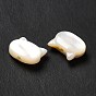 Perles naturelles de coquillages blancs, cat
