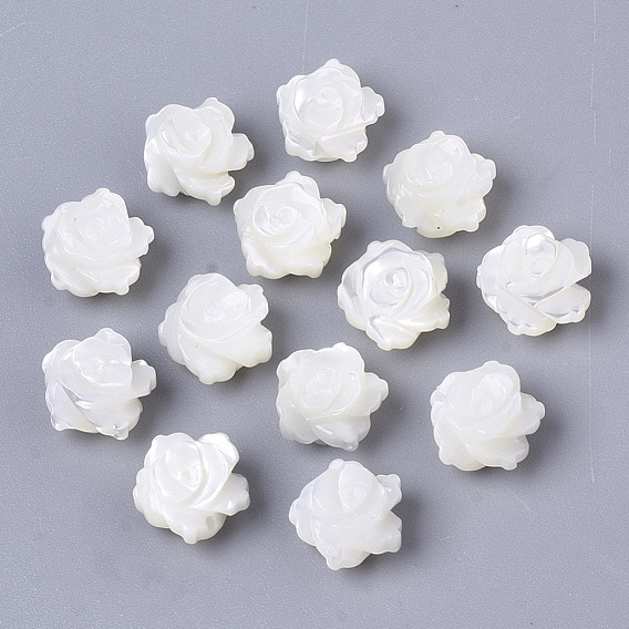 Coquille de trochide naturelle / perles de coquille de troque, double-face, fleur