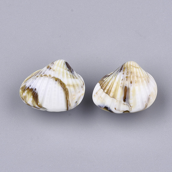 Perles acryliques, style de pierres fines imitation, forme coquille