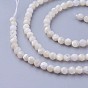 Shell Beads Strands, Faceted, Round
