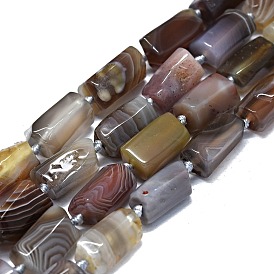 Natural Botswana Agate Beads Strands, Nuggets