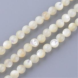 Marinas naturales hebras de perlas shell, rondo