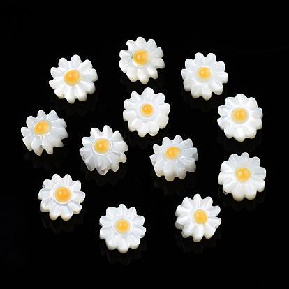 Cuentas de esmalte de concha blanca natural, flor