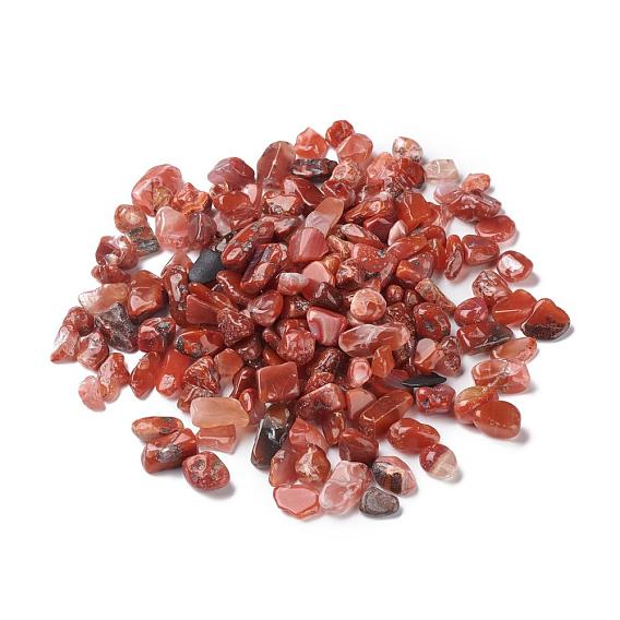 Natural South Red Agate Beads, No Hole/Undrilled, Nuggets, Tumbled Stone, Vase Filler Gems
