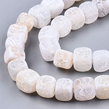 Natural Weathered Agate Beads Strands, Frosted, Dyed, Cube