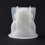 DIY 3D Girl Display Decoration Silicone Molds, Resin Casting Molds, for UV Resin & Epoxy Resin Craft Making