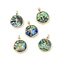 Natural Abalone Shell/Paua Shell Pendants, with Real 18K Gold Plated Brass Findings, Cadmium Free & Lead Free, Long-Lasting Plated, Flat Round Charm, Cross/Heart Pattern